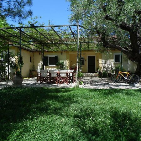 Theni Olive Grove Villa Kato Yerakarion Extérieur photo