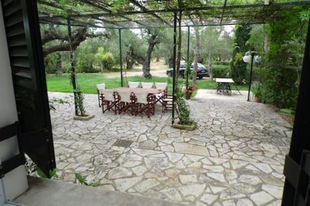 Theni Olive Grove Villa Kato Yerakarion Extérieur photo