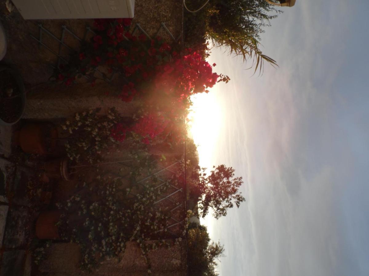 Theni Olive Grove Villa Kato Yerakarion Extérieur photo