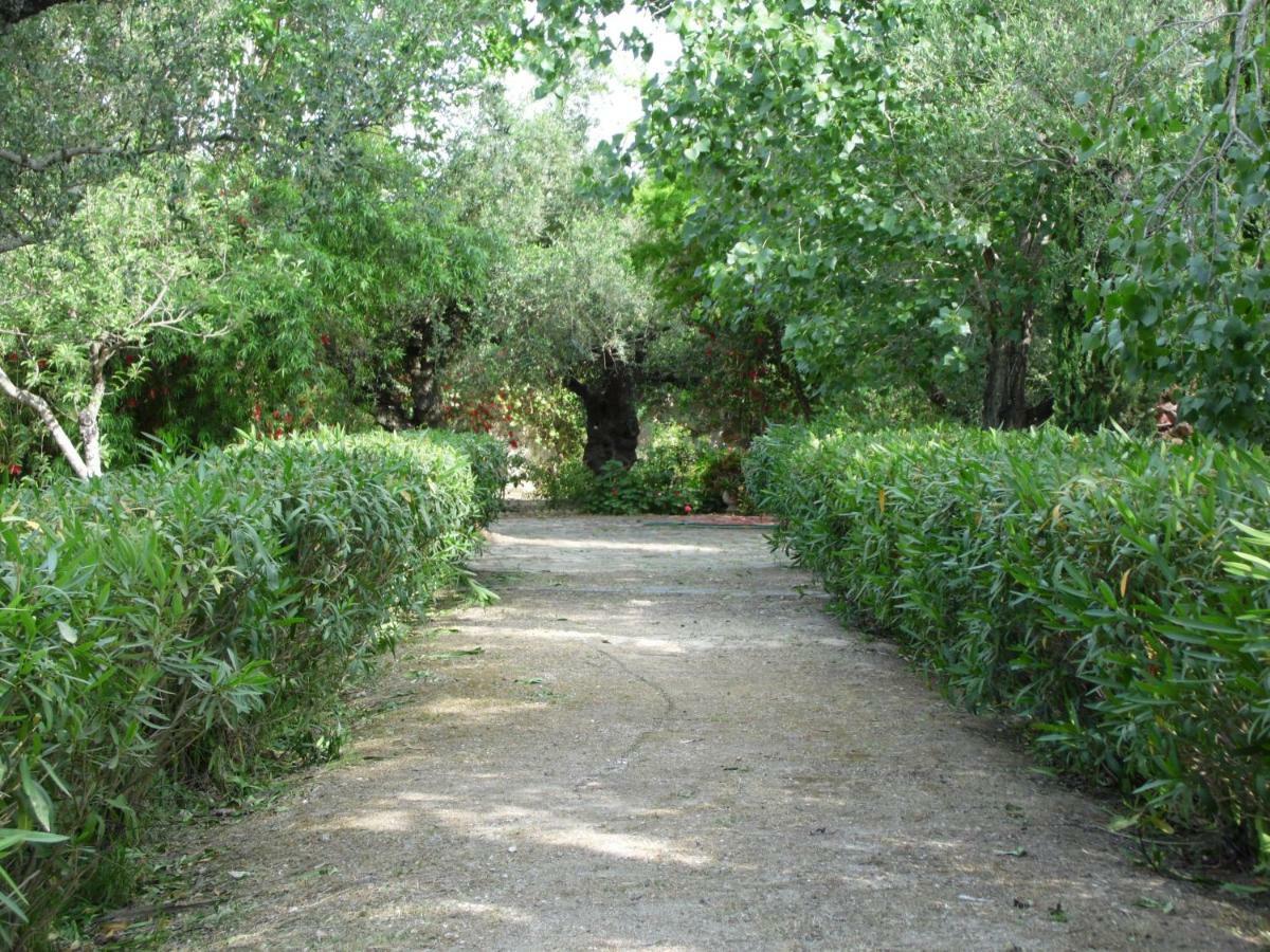 Theni Olive Grove Villa Kato Yerakarion Extérieur photo