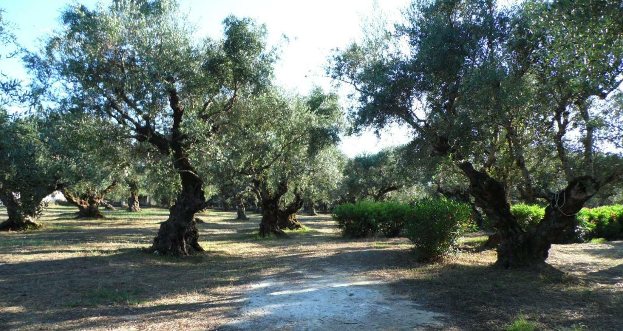 Theni Olive Grove Villa Kato Yerakarion Extérieur photo